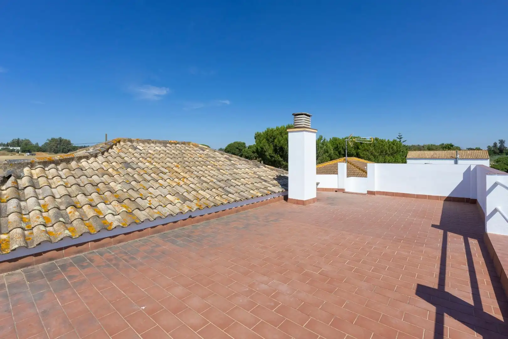 Vista exterior de Casa o chalet en venta en La Puebla del Río con Terraza, Trastero y Piscina