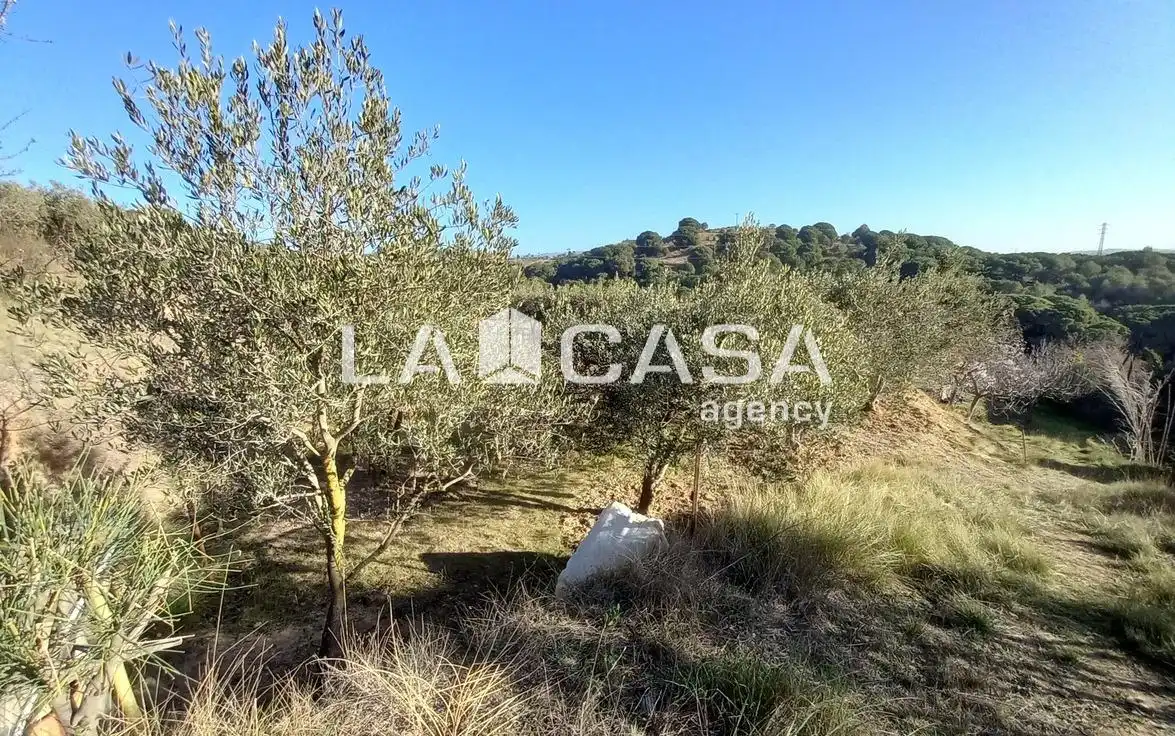 Terreno rustico in vendita a Zona Industrial, imagen 18