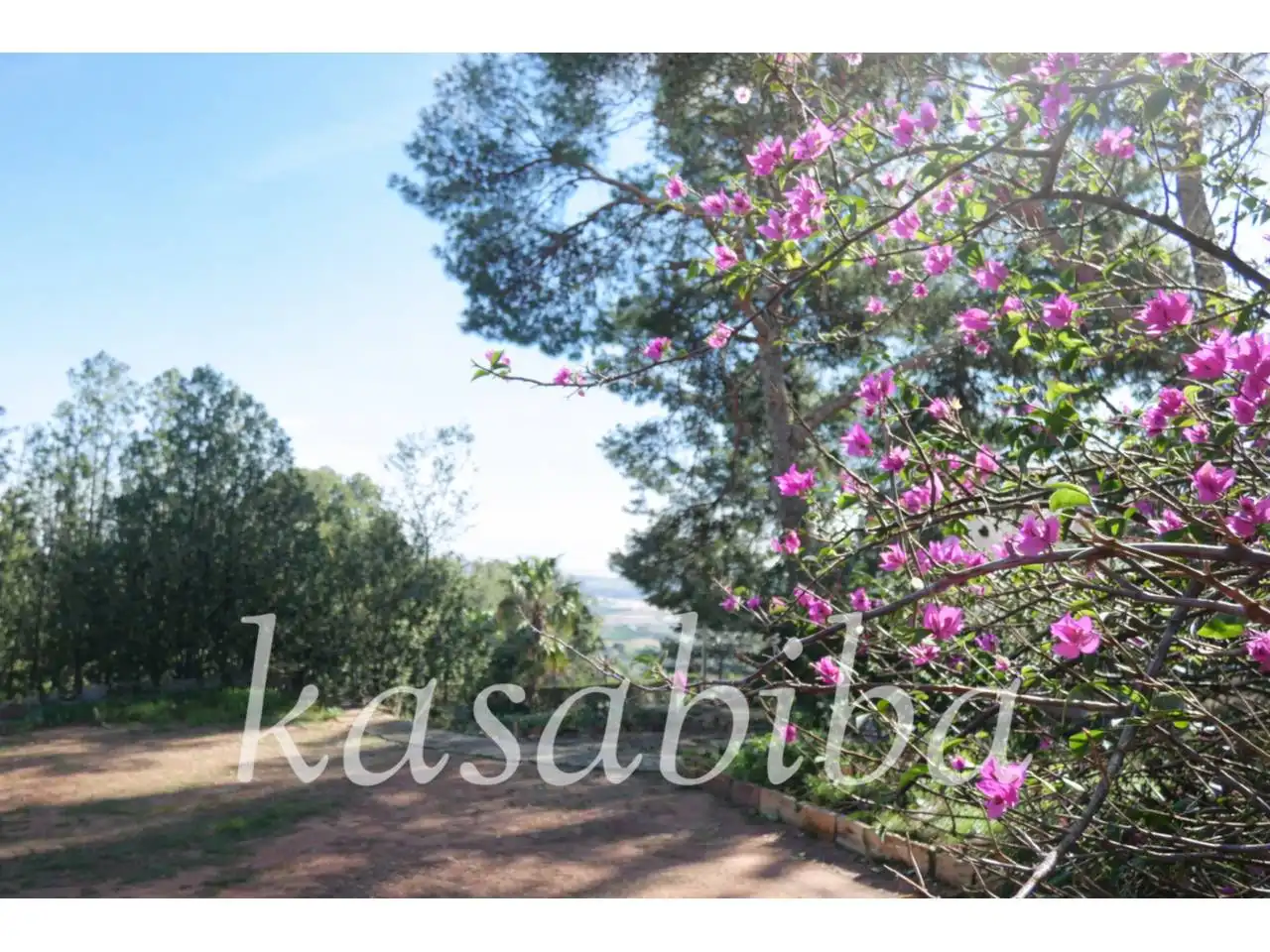 Detached house with pool for sale in Urbanizacion Monte Picayo, PASEO DE LAS CUMBRES, imagen 14