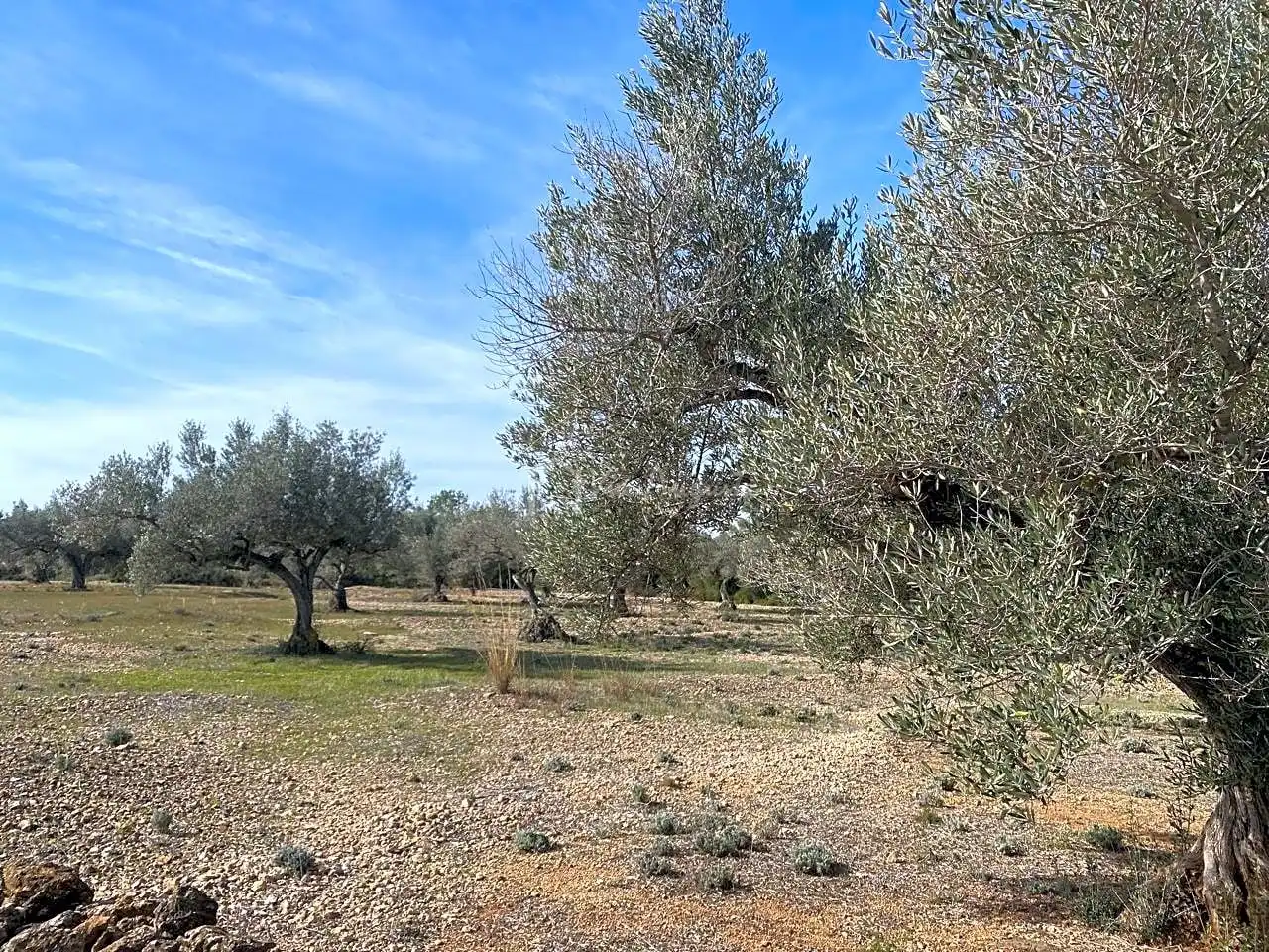 Terreno rustico in vendita a Planas, imagen 7