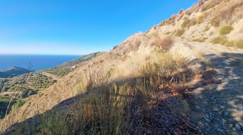 Foto 2 de Terreno en venta en Maro - Cuevas de Nerja, Nerja