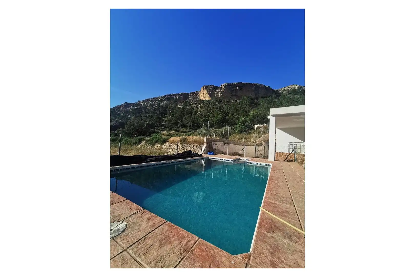 Piscina de Finca rústica en venda en Crevillent