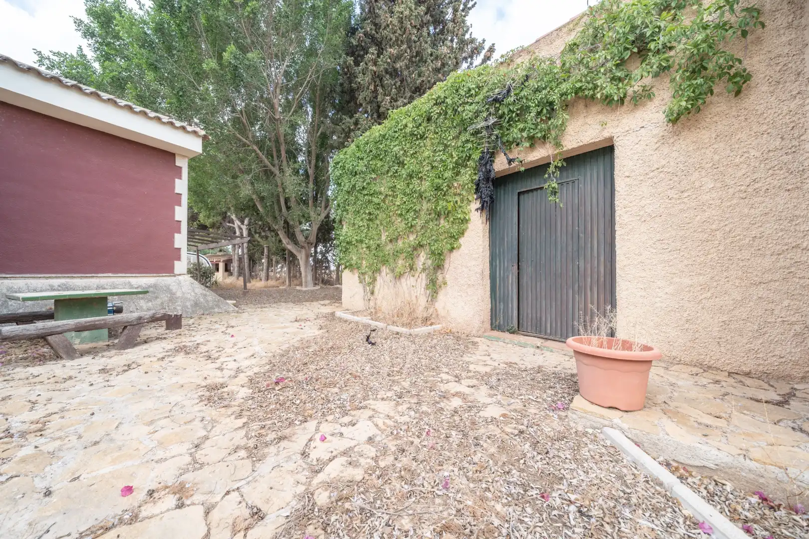 Vista exterior de Casa o xalet en venda en Cartagena amb Jardí privat, Traster i Piscina