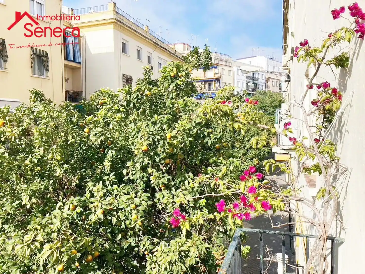 Piso en venta en JULIO PELLICER, Ciudad Jardín - Zoco