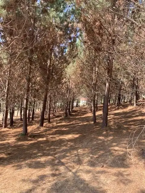 Casa o xalet en venda en Carballo amb Terrassa i Forn