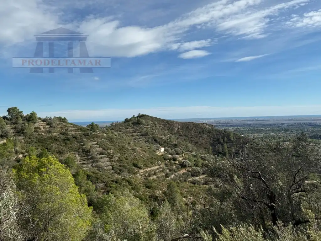 Country house for sale in Poligono 82 Paraje 6 Camp-Redo, imagen 9