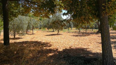 Foto 4 de Edificio en venta en Calle Horno, 1, Alcaraz, Albacete