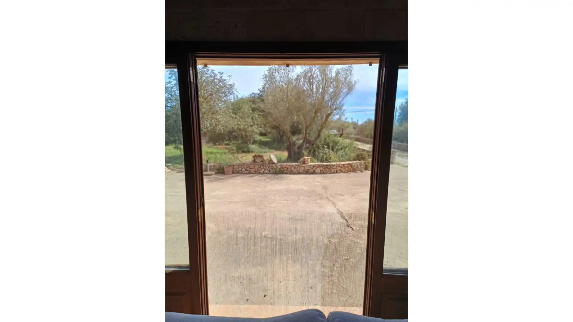 Vista exterior de Finca rústica en venda en Vilafranca de Bonany amb Jardí privat i Terrassa