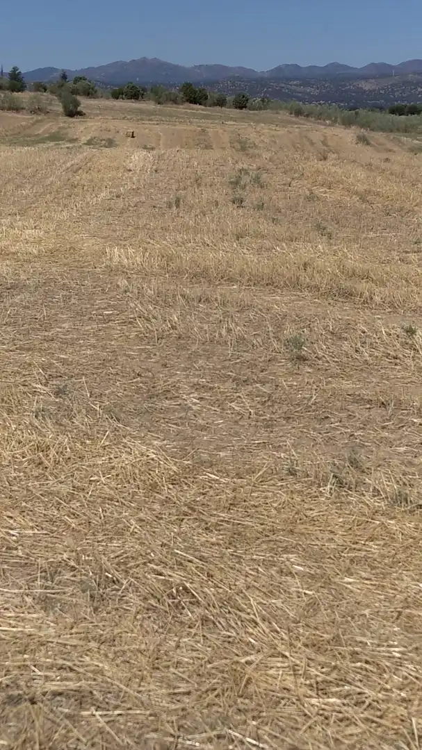 Terreno rustico in vendita a Quijorna, imagen 9