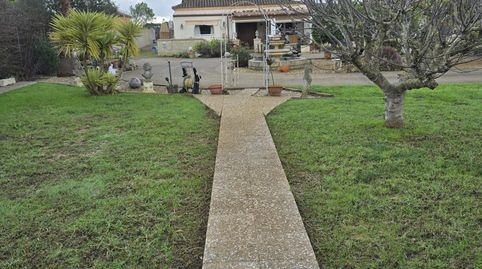 Foto 2 de Finca rústica en venda a Camino Venta la Raya , Pelagatos - Pago del Humo, Chiclana de la Frontera