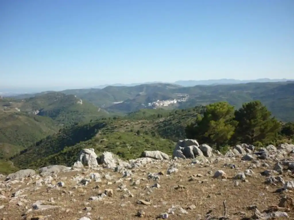 Casa o chalet en venta en N/A, -1, Llucena / Lucena del Cid
