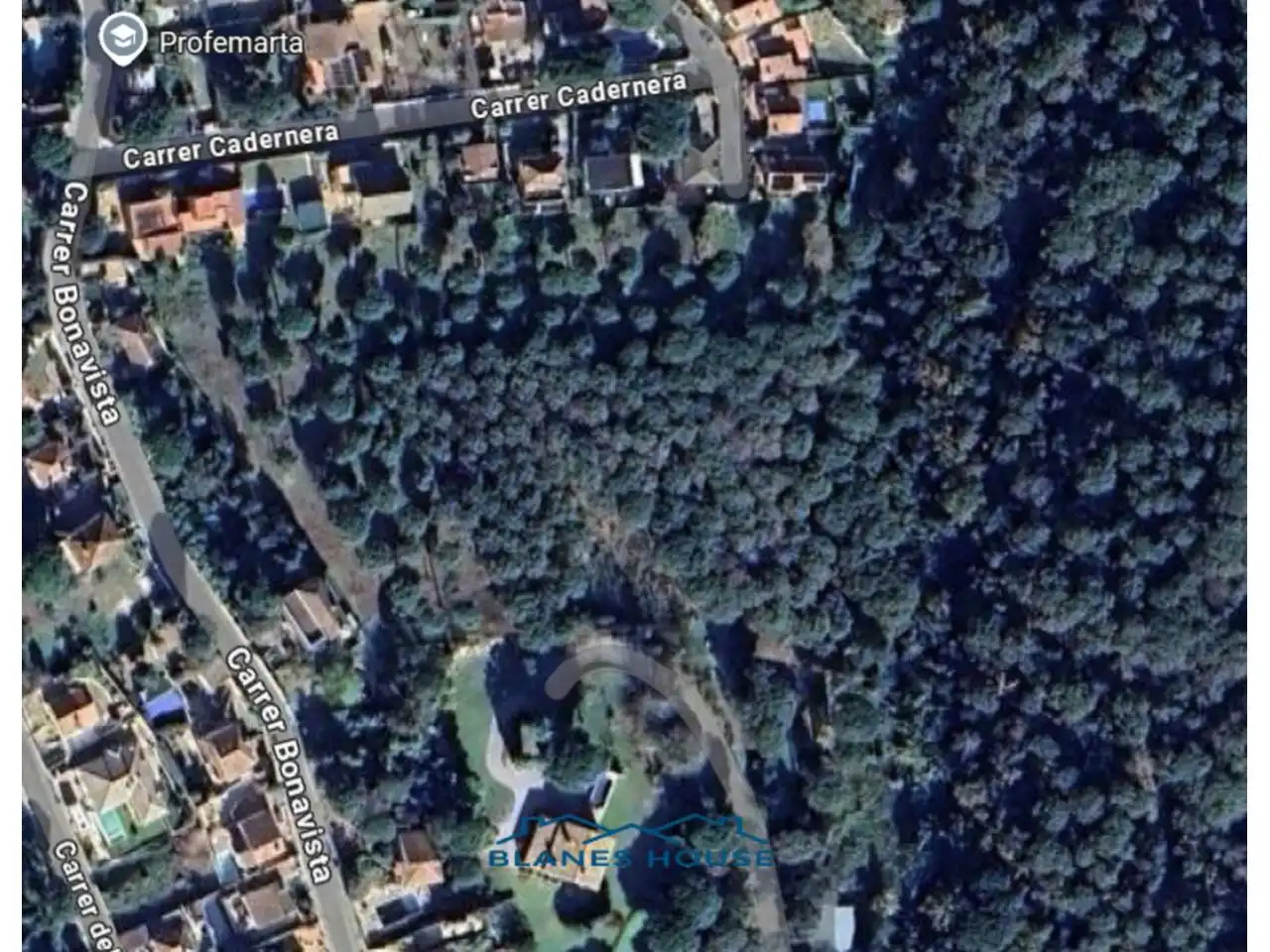 Terreno rustico in vendita a Calle San Daniel 0