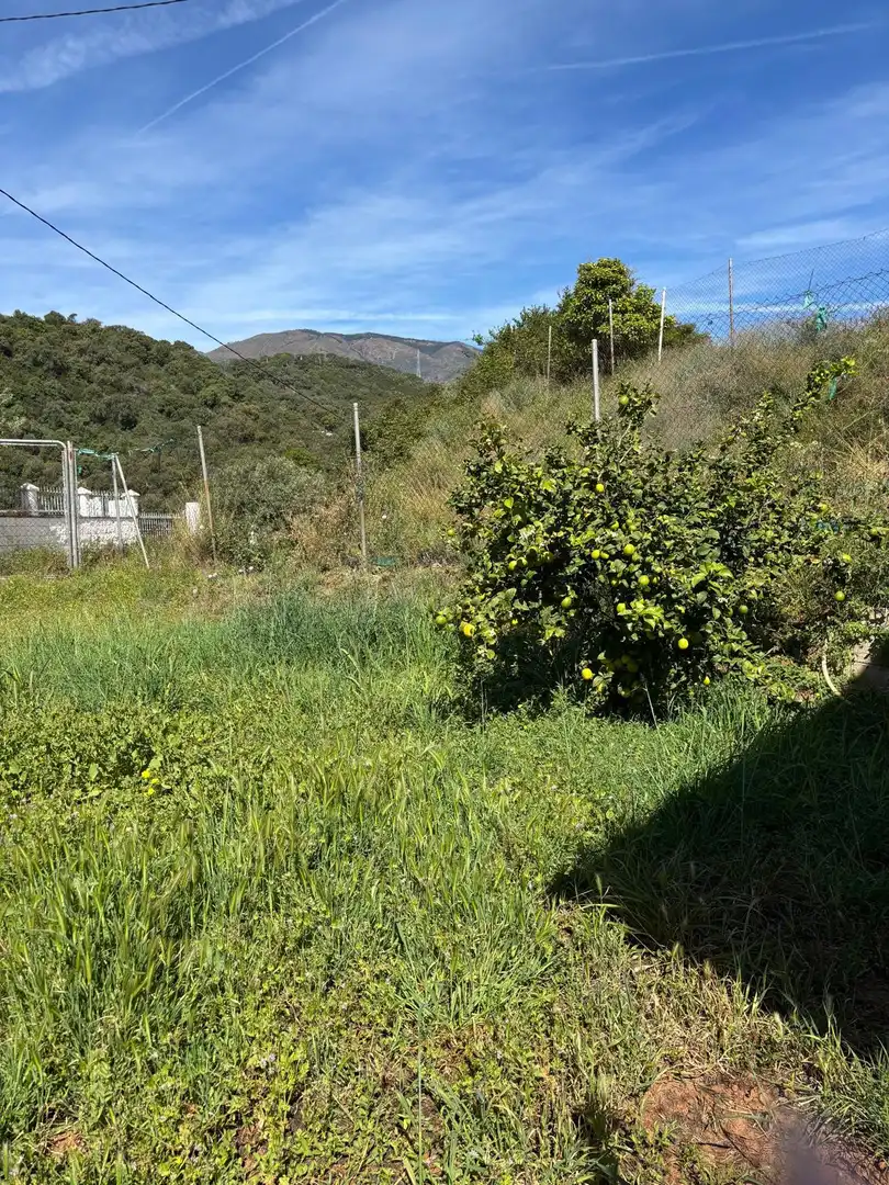 Finca rústica en venda en Estepona amb Jardí privat