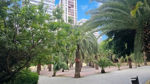 Foto 3 de Piso en venta en Calle Luis Benítez Inglott, La Minilla, Las Palmas de Gran Canaria