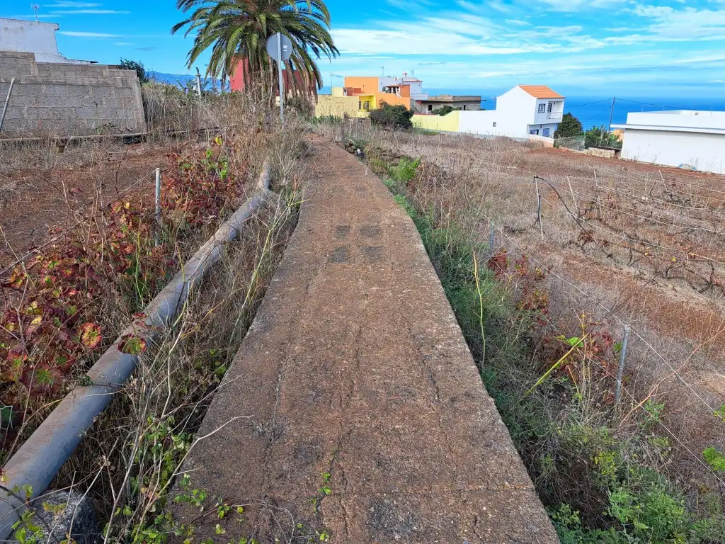 Rural land for sale in El Sauzal, imagen 13