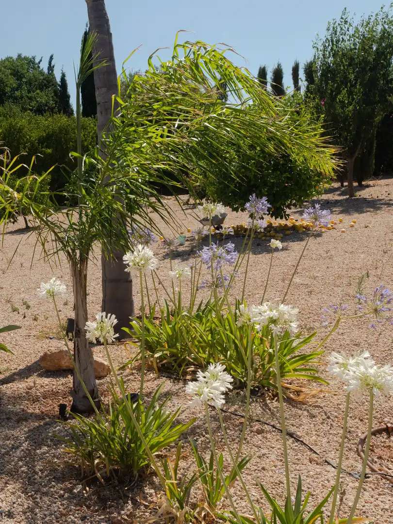 Jardí de Casa o xalet en venda en Marratxí amb Calefacció, Jardí privat i Terrassa