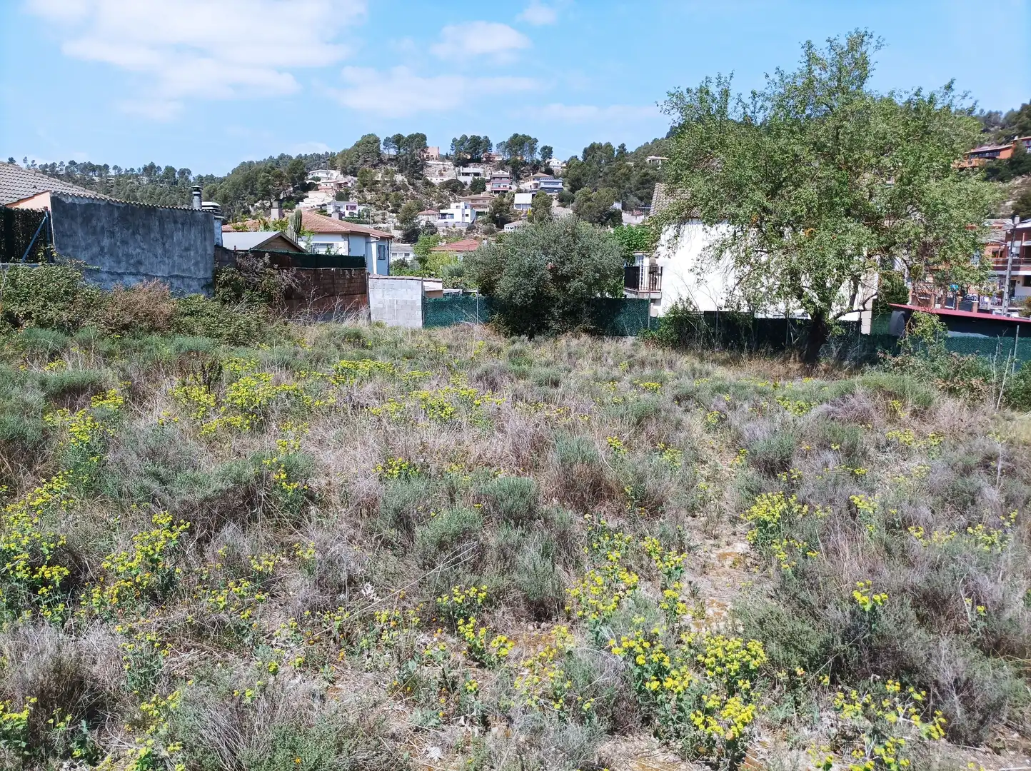 Terreno residencial en venta en Castellgalí, imagen 3