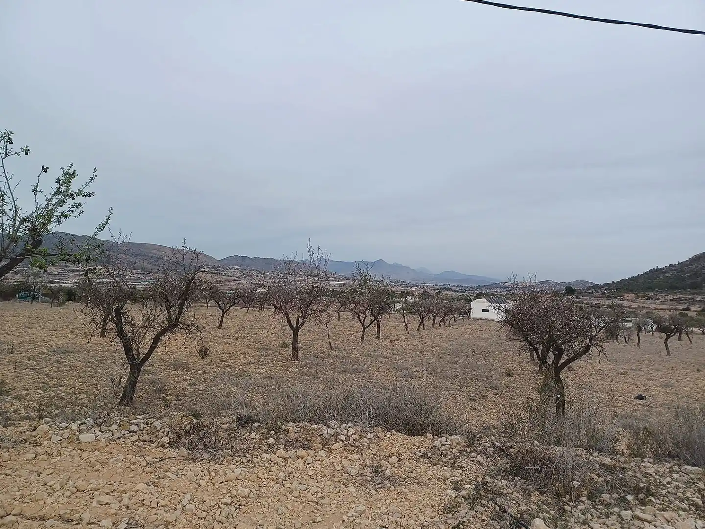 Terreny residencial en venda a La Romana, imagen 6