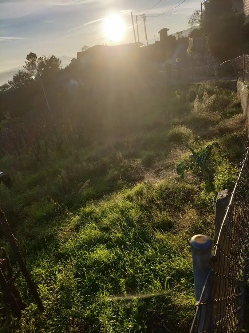 Jardín de Finca rústica en venta en Ourense Capital  con Jardín privado, Terraza y Balcón