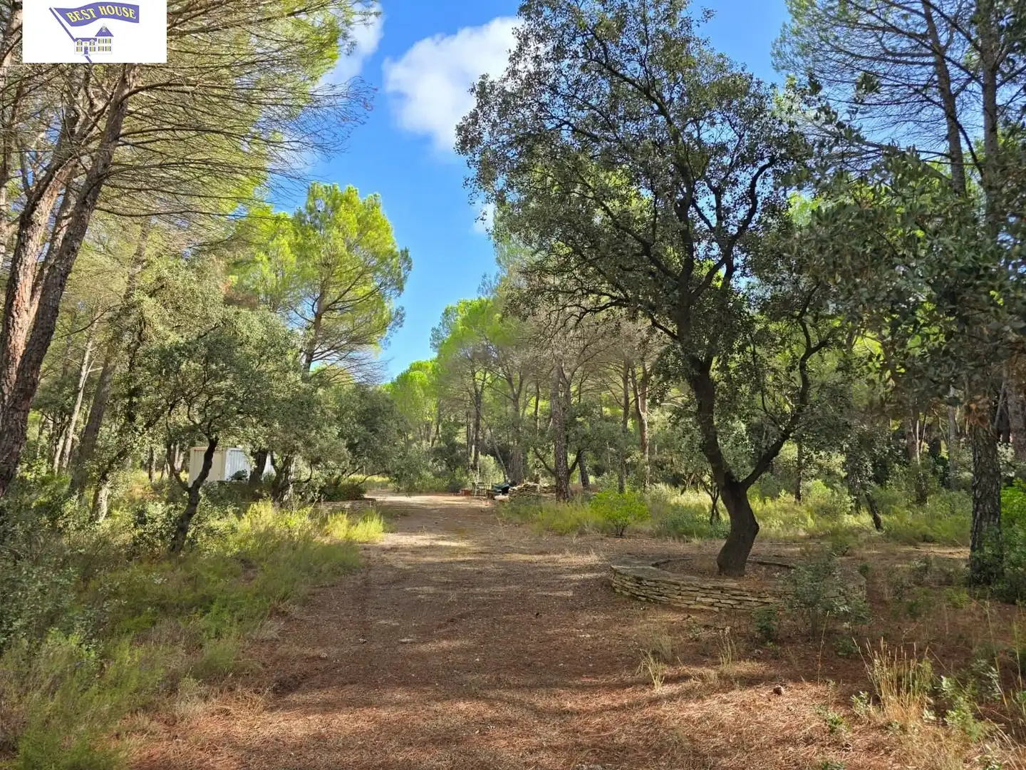 Terreno rustico in vendita a Pedanías - Extrarradio