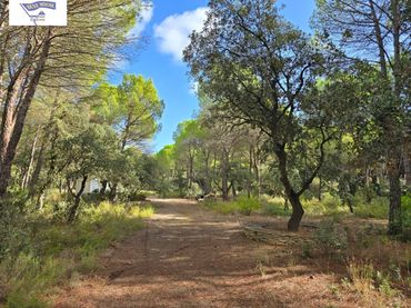 Terreno rustico in vendita a Pedanías - Extrarradio