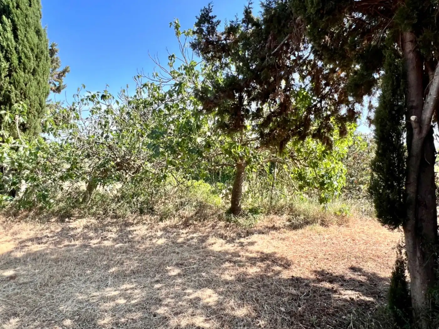 Maison rustique à vendre à Muro, imagen 17