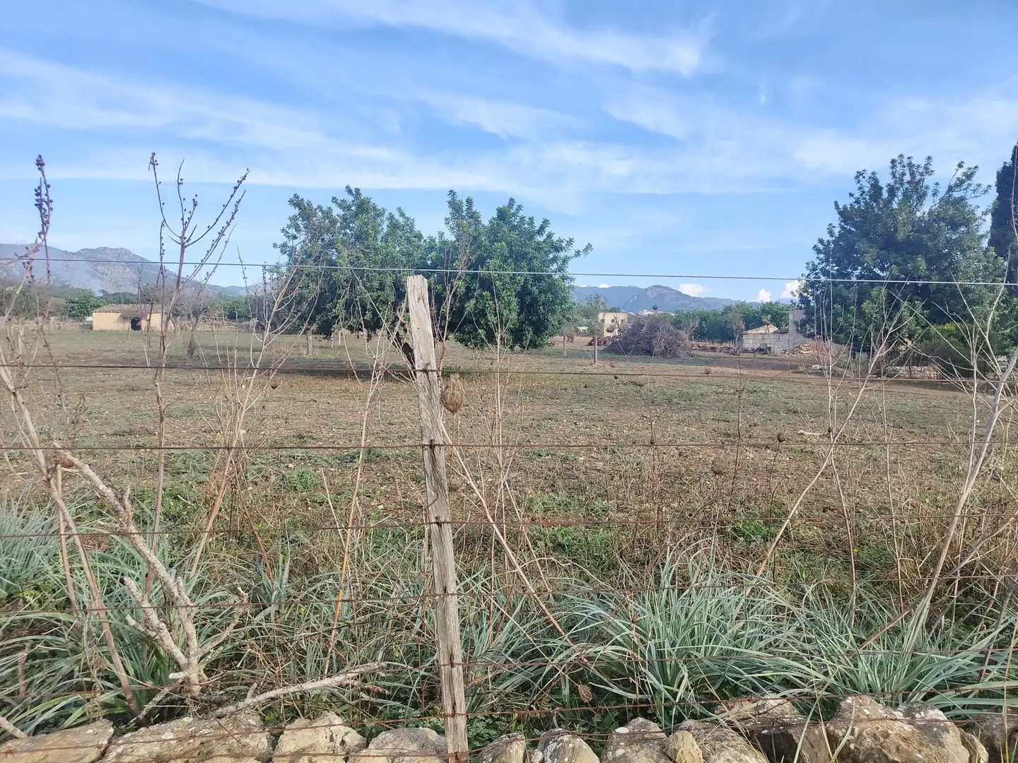 Terrain rustique à vendre à Camí Moscari 26, imagen 22