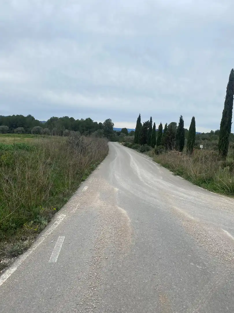 Lands and plots for sale in Ginestar, imagen 10