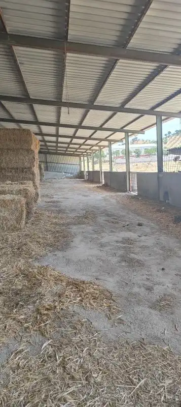 Vista exterior de Finca rústica en venda en Montellano amb Calefacció, Jardí privat i Moblat