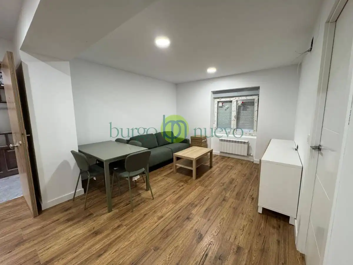 Piso de alquiler en León Capital  con Calefacción, Terraza y Amueblado
