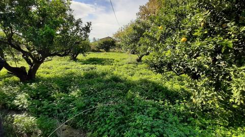 Foto 3 de Finca rústica en venta en Tercia, Murcia