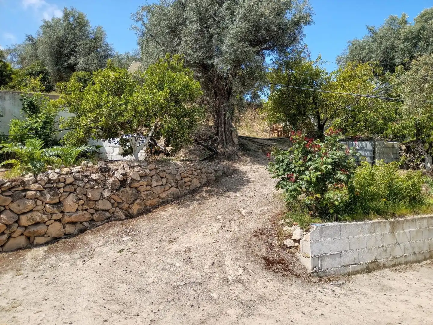 Terreni e lotti in vendita a El Valle, imagen 23