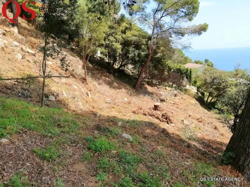 Terreny residencial en venda a Santa Cristina - Sant Francesc, imagen 3