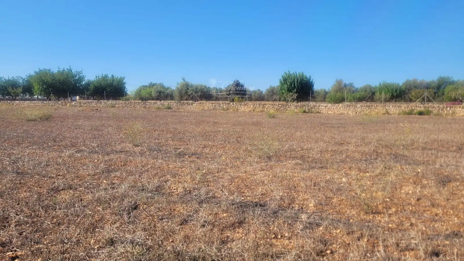Terreno rustico in vendita a N/A, imagen 4