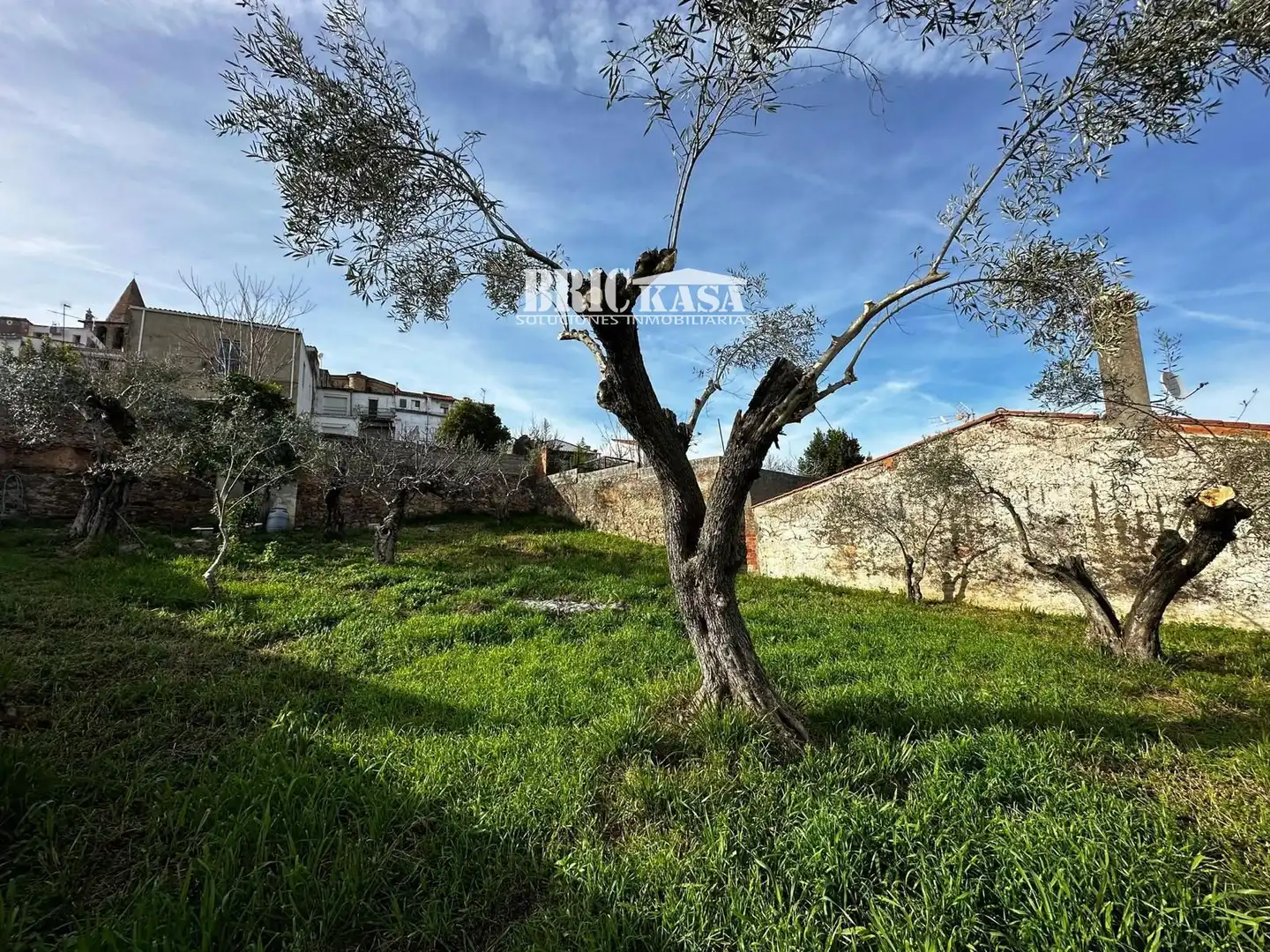 Terreny en venda en Cáceres