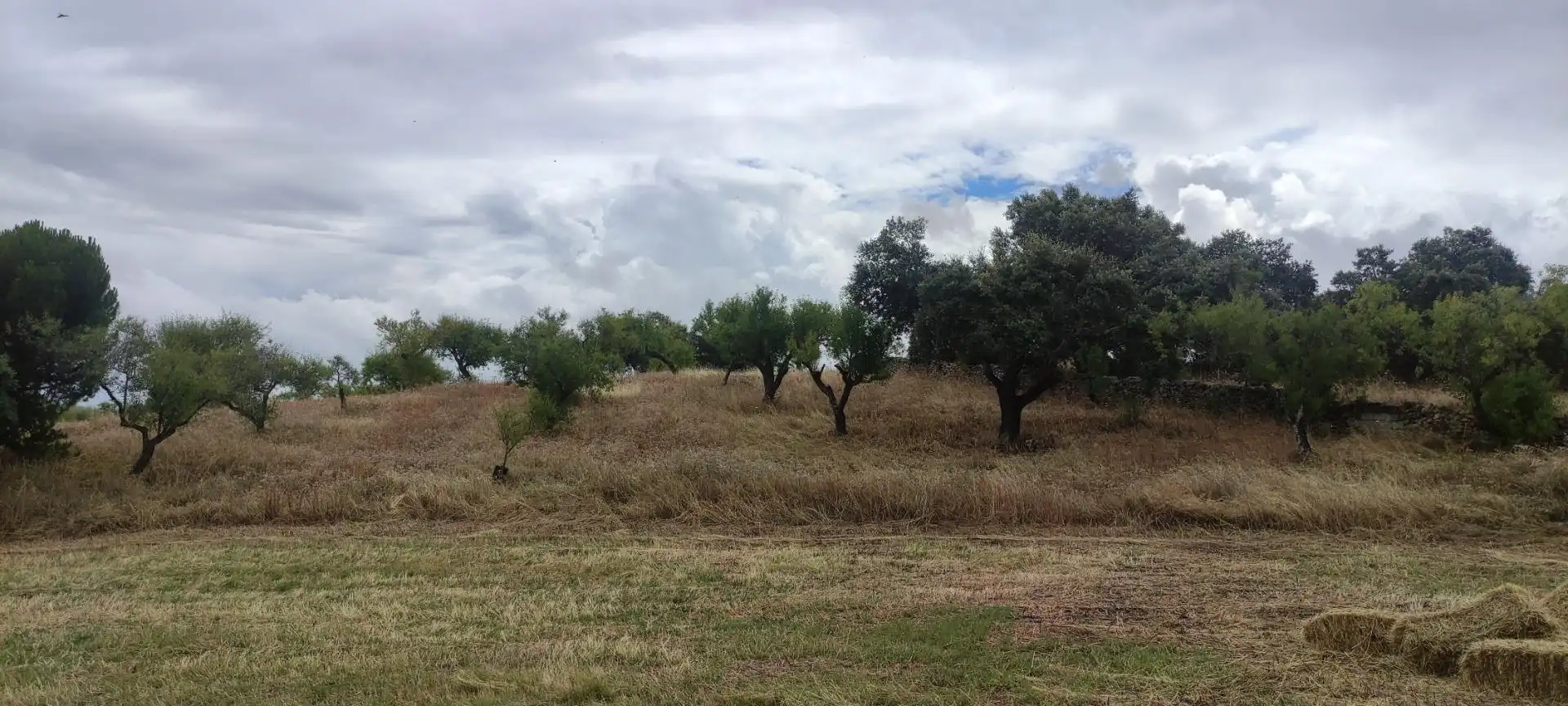 Terreni e lotti in vendita a Garrovillas de Alconétar, imagen 7