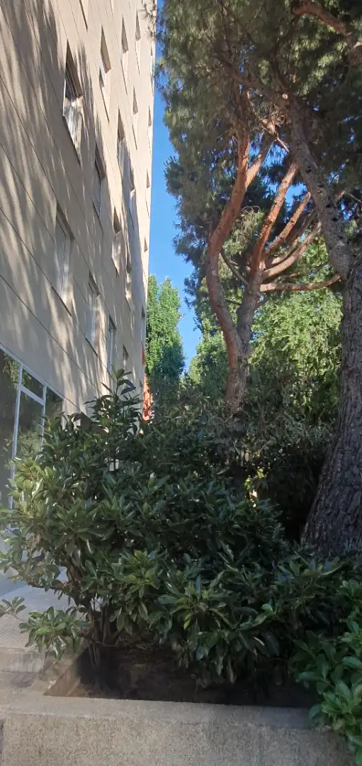 Vista exterior de Casa o xalet en venda en Madrid amb Calefacció, Jardí privat i Parquet