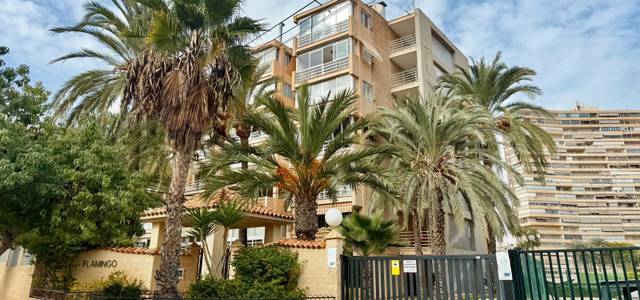 Piso en Alquiler en Avenida Benidorm en Playa de San Juan