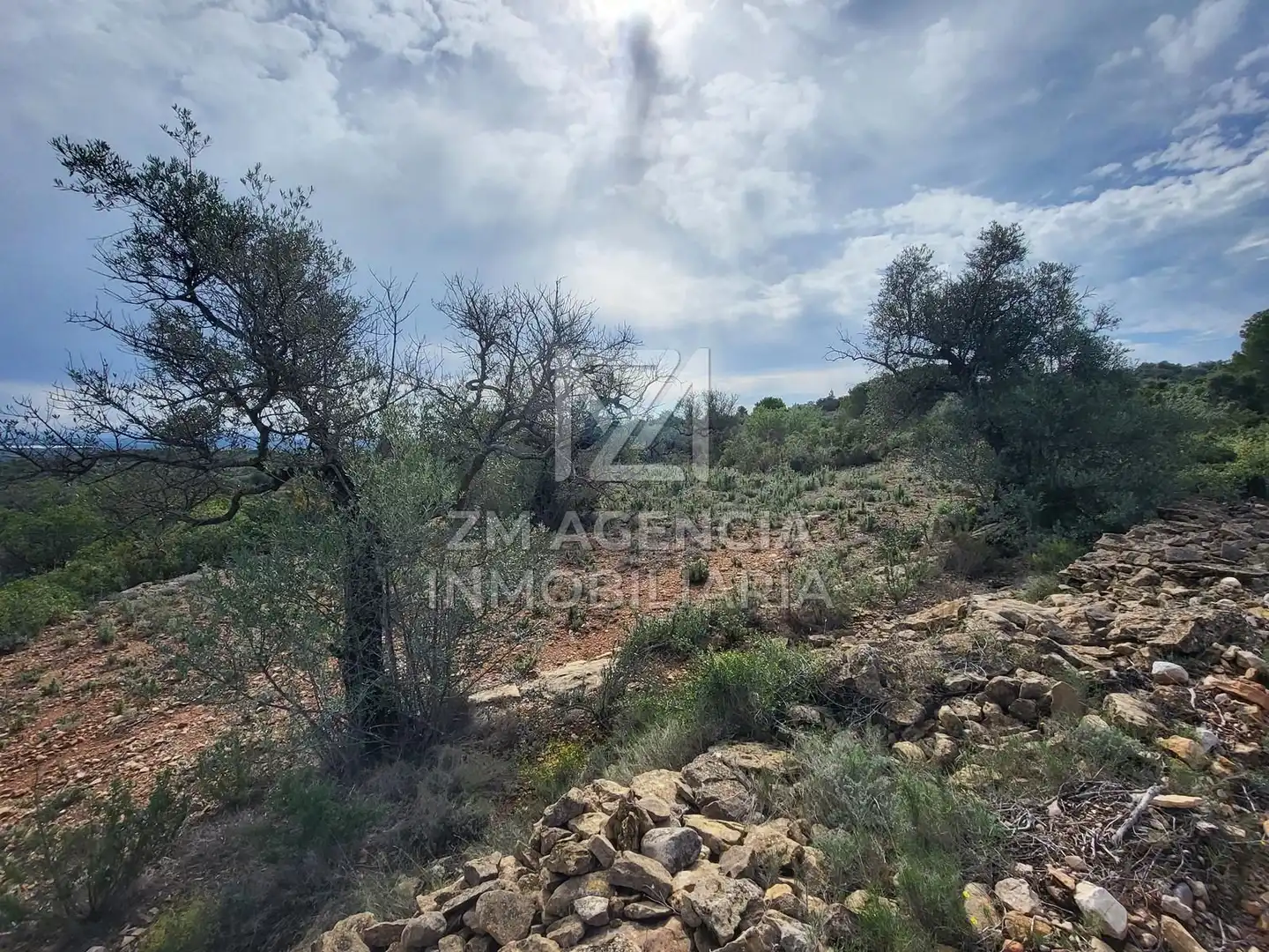 Casa rústica en venta en Traiguera, imagen 9