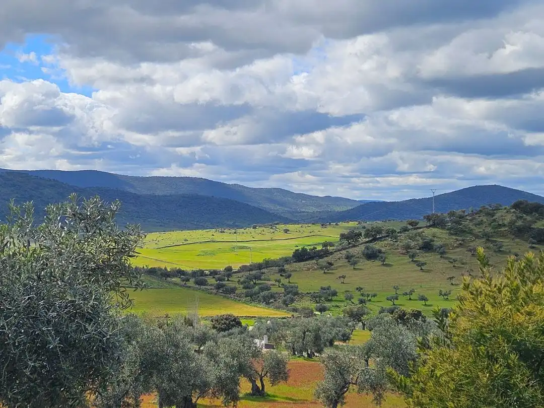 Country homes for sale in Zafra, Badajoz