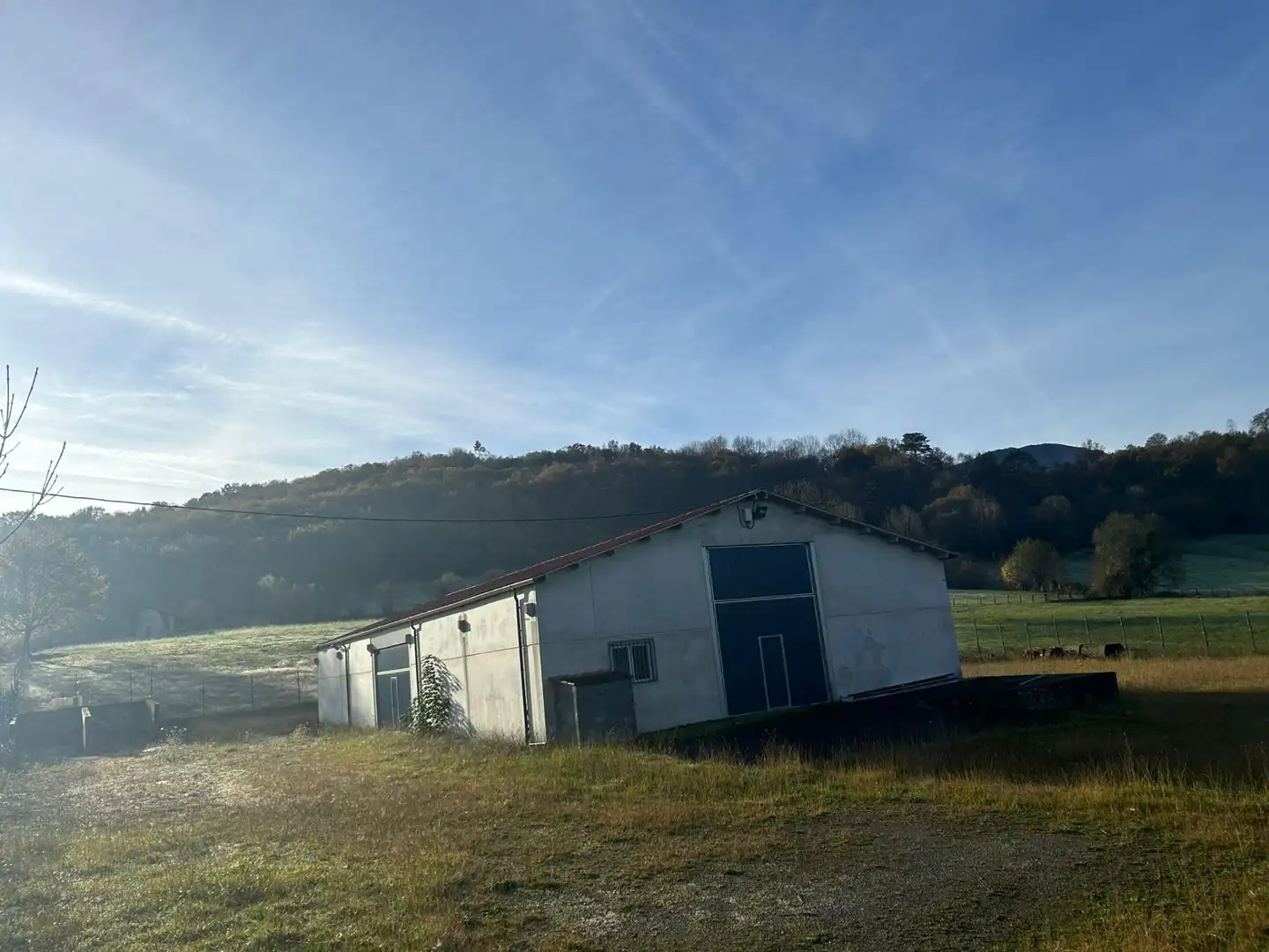 Vista exterior de Nave industrial en venta en Cangas de Onís