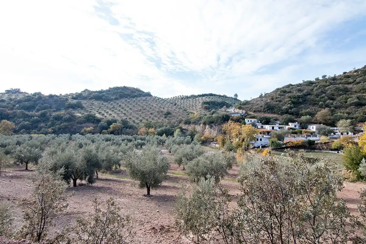 Exterior view of Country homes for sale in Loja