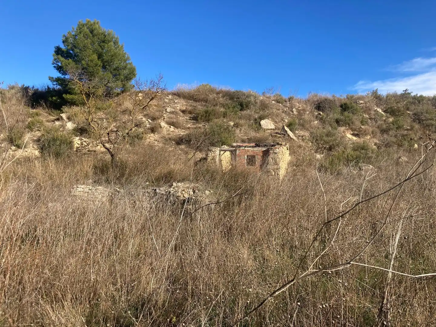 Terreno en venta en Caseres