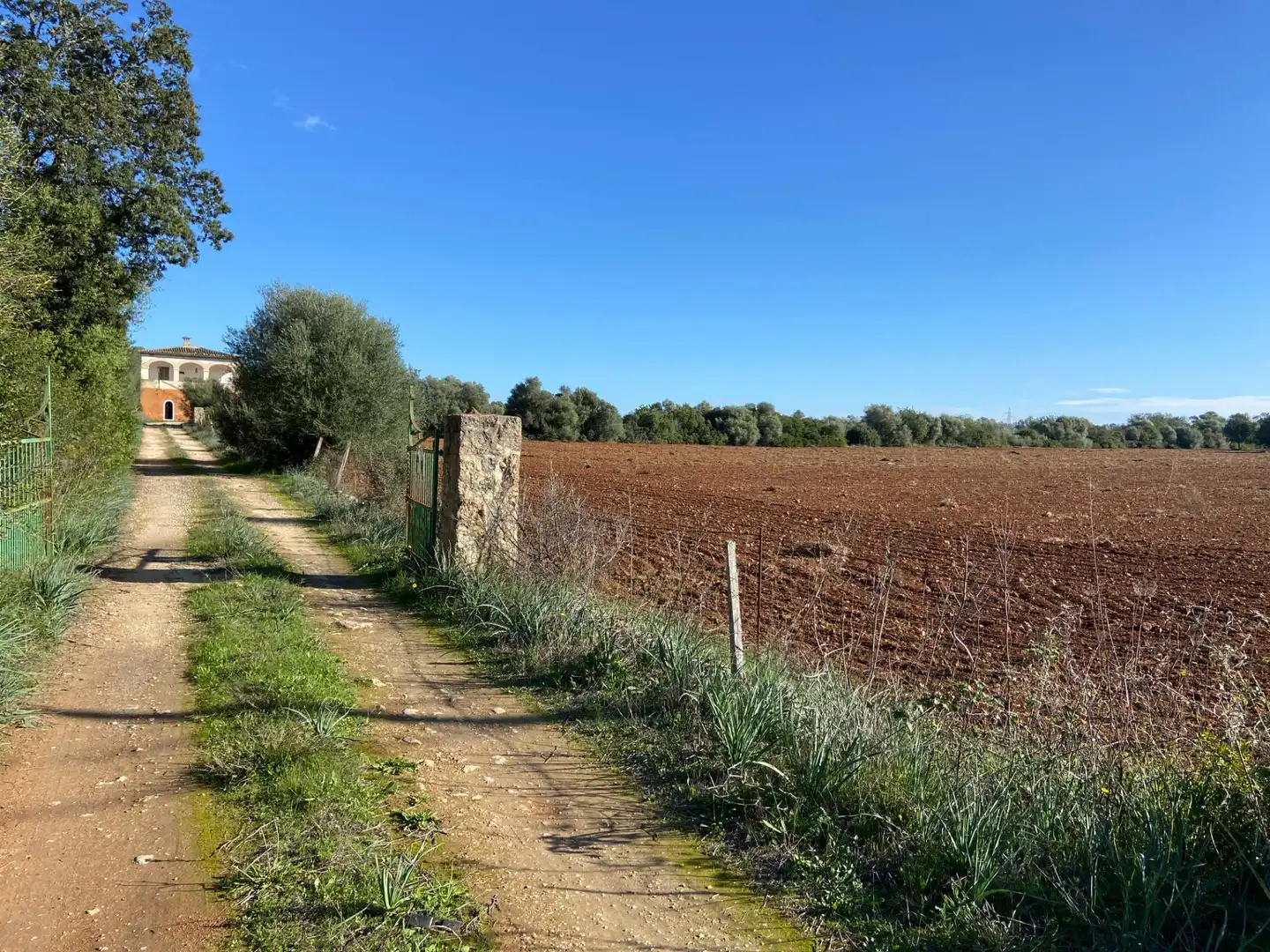 Maison rustique à vendre à Sineu, imagen 31