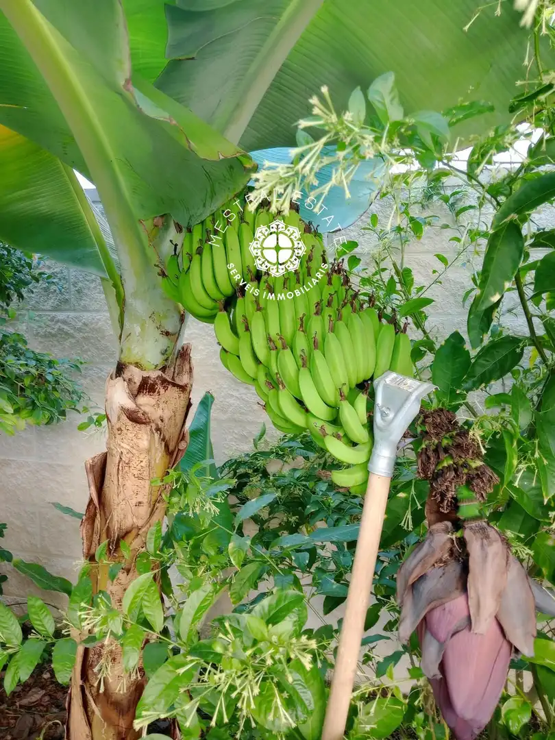 Wohnung zum Verkauf in Alvaro Bazan, imagen 11