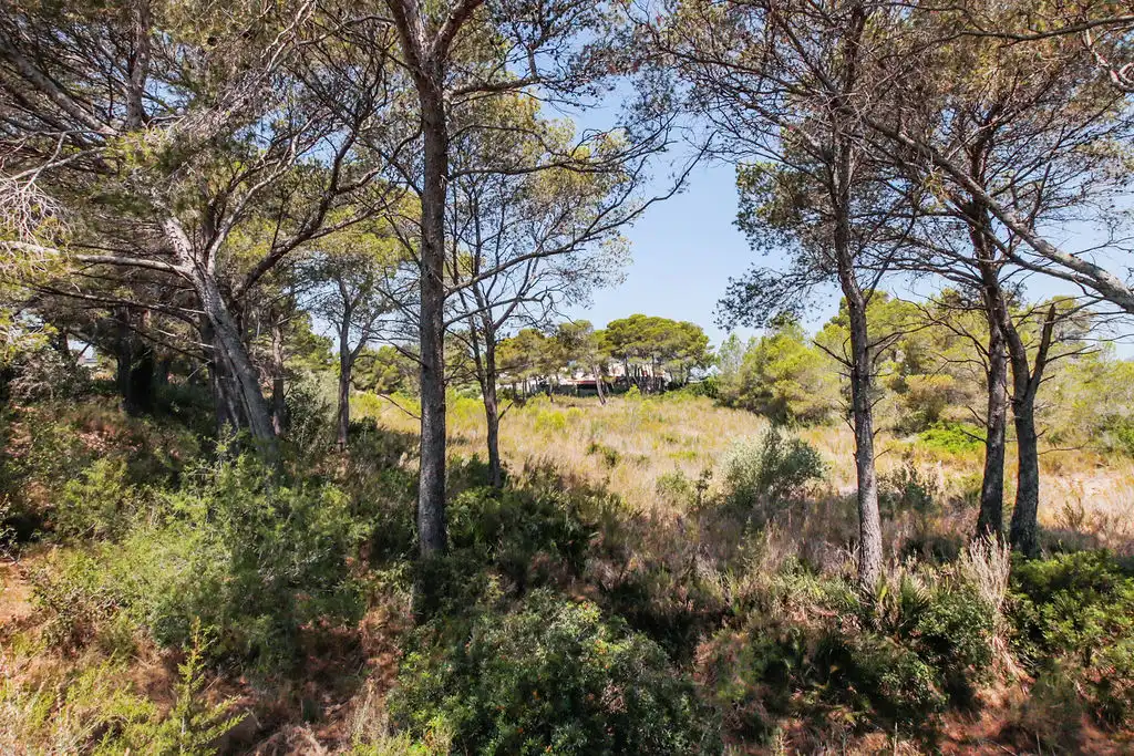 Terreno en venta en L'Ametlla de Mar 