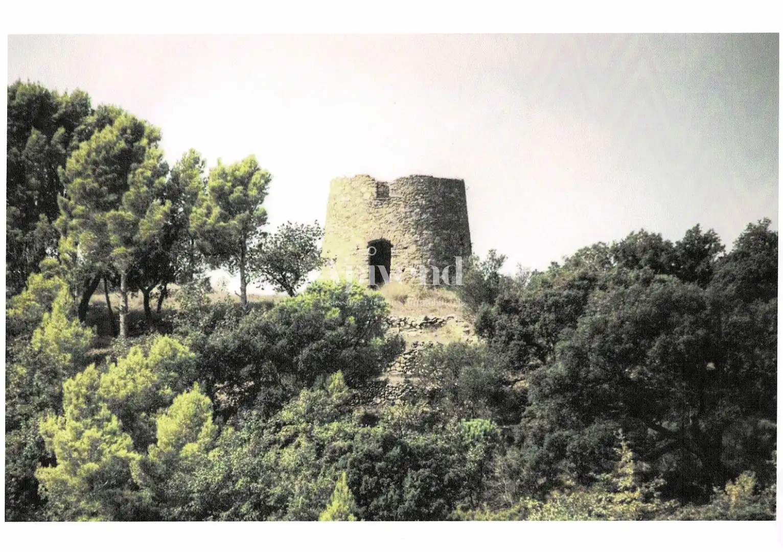 Rural land for sale in Molí de Vent, imagen 15
