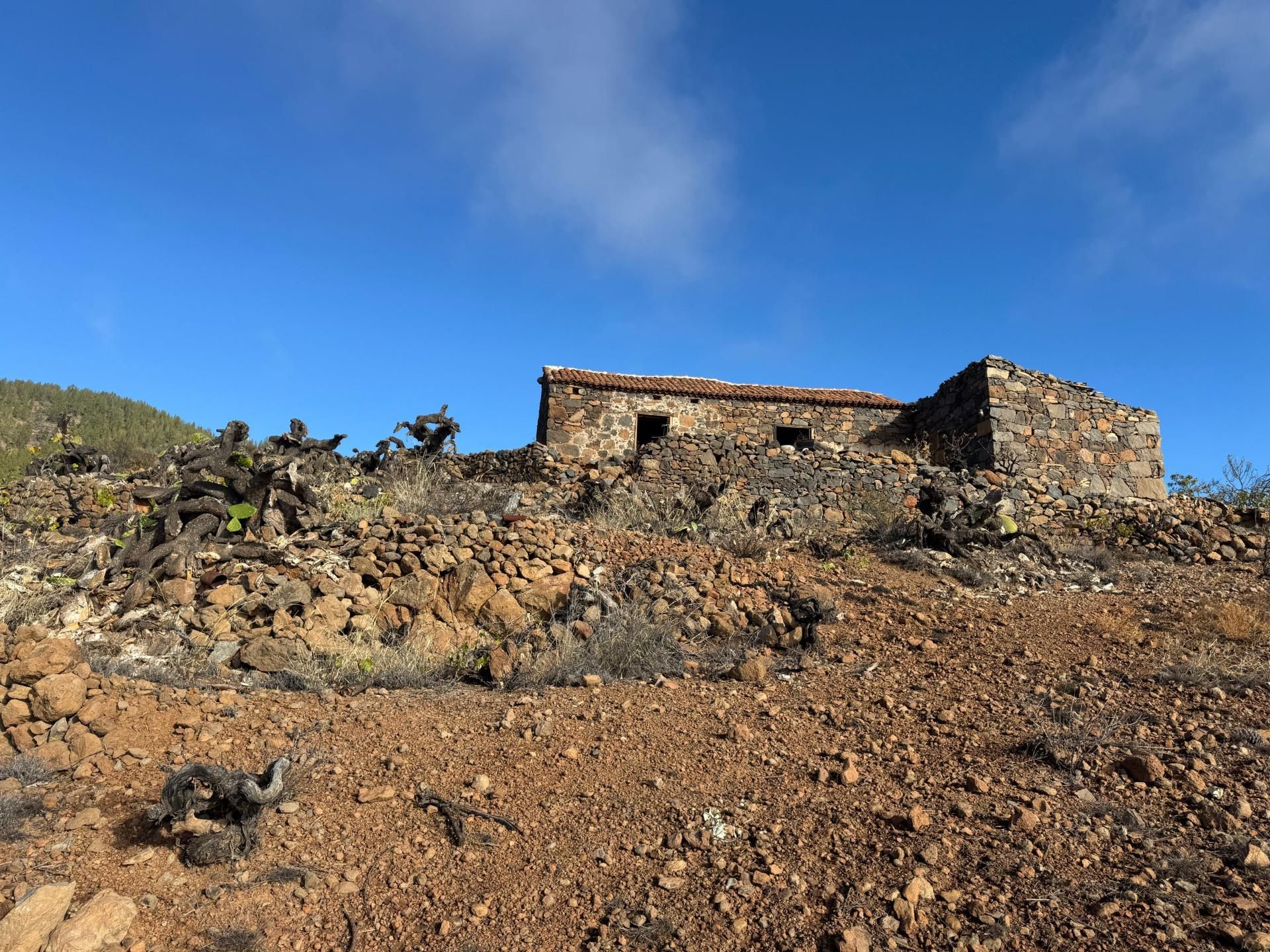 Vista exterior de Finca rústica en venda en Granadilla de Abona