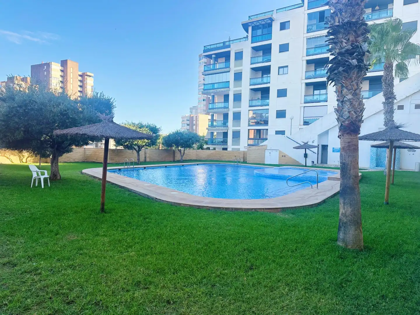 Swimming pool of Apartments for rent in El Campello  with Air Conditioner, Heating and Private garden
