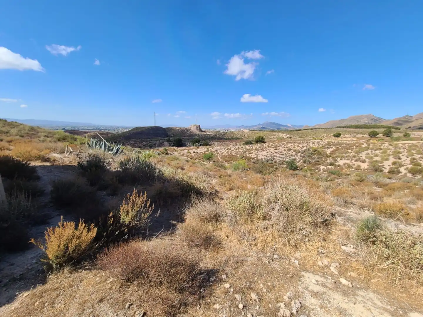 Terrains et parcelles à vendre à Pedanías Centro, imagen 29